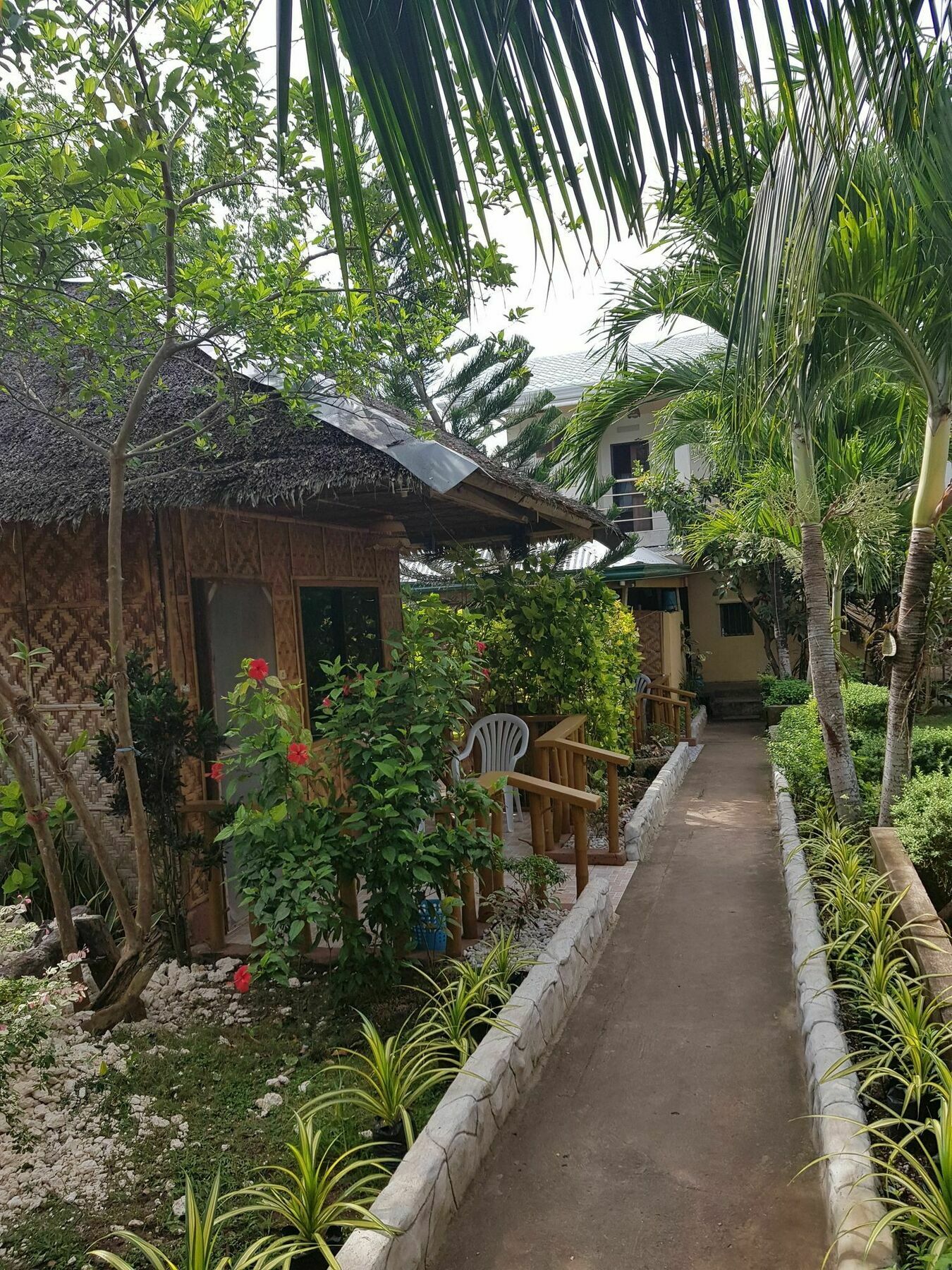 Alona Bamboo House Hotel Panglao Exterior photo